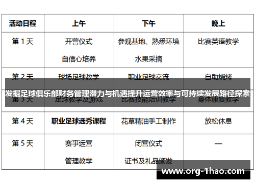 发掘足球俱乐部财务管理潜力与机遇提升运营效率与可持续发展路径探索