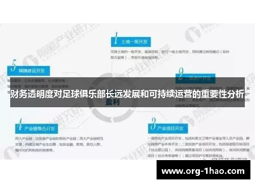 财务透明度对足球俱乐部长远发展和可持续运营的重要性分析