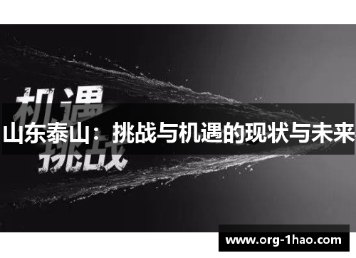 山东泰山：挑战与机遇的现状与未来