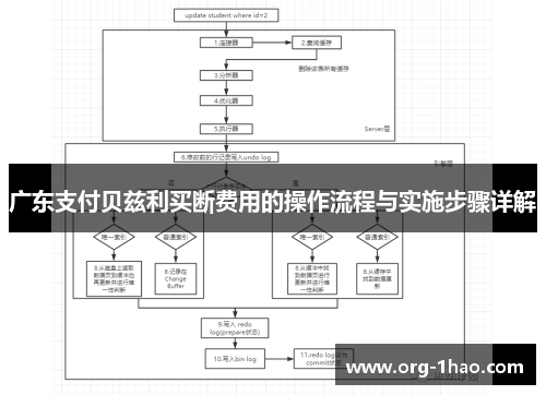 广东支付贝兹利买断费用的操作流程与实施步骤详解