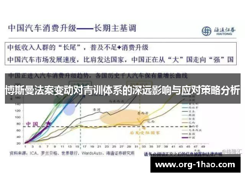 博斯曼法案变动对青训体系的深远影响与应对策略分析