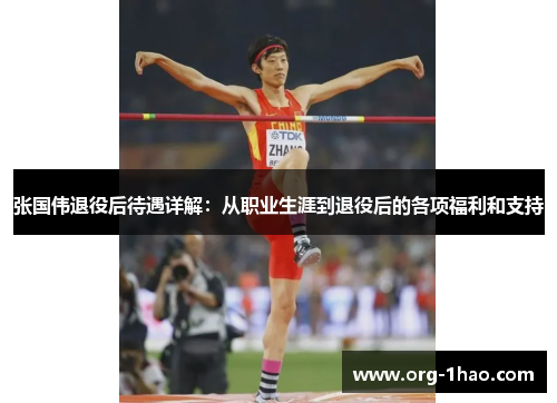张国伟退役后待遇详解：从职业生涯到退役后的各项福利和支持