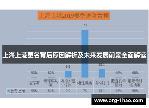 上海上港更名背后原因解析及未来发展前景全面解读