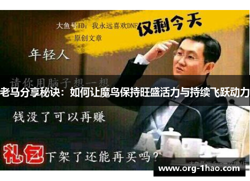 老马分享秘诀：如何让魔鸟保持旺盛活力与持续飞跃动力